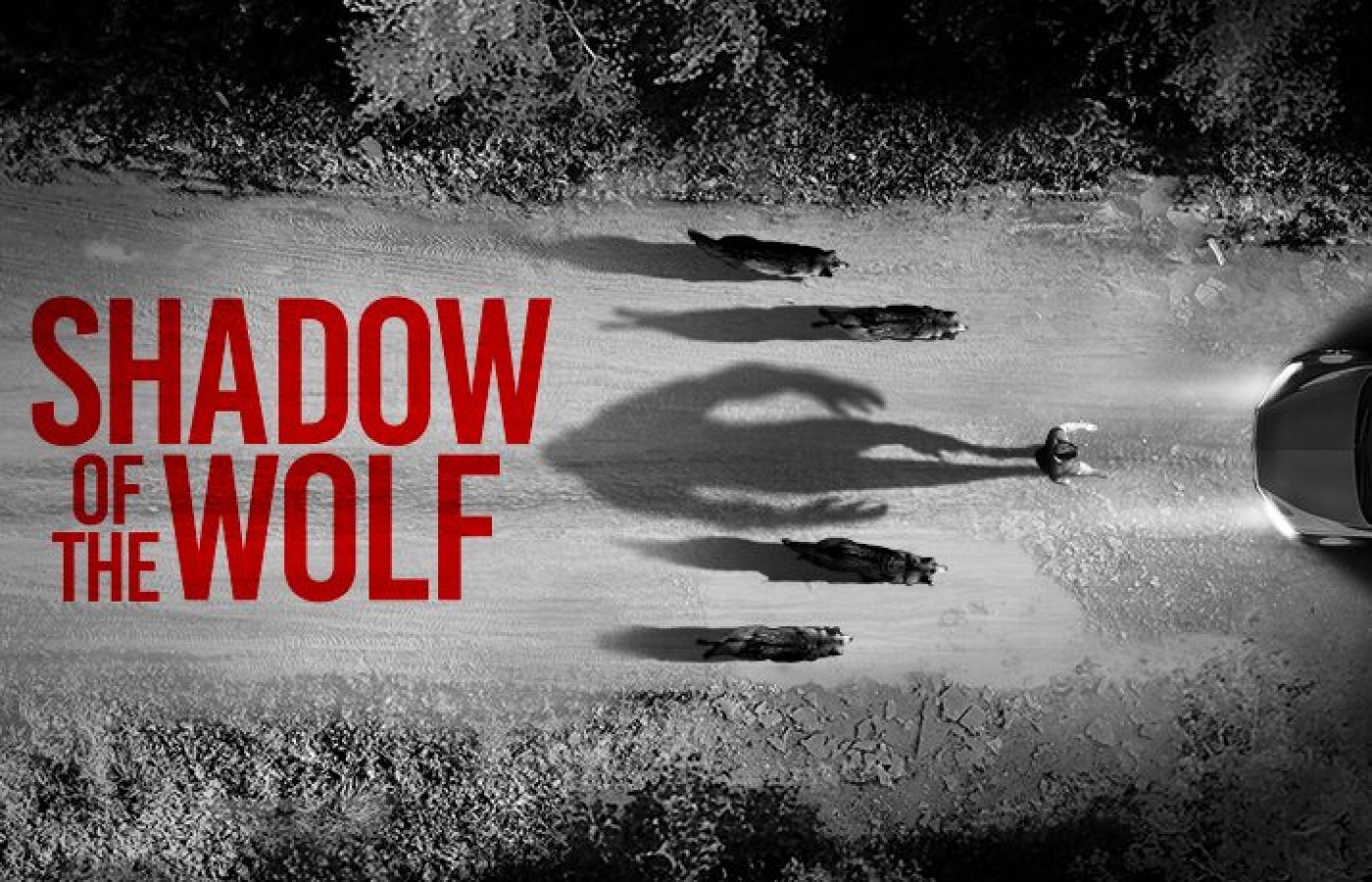 SHADOW OF THE WOLF