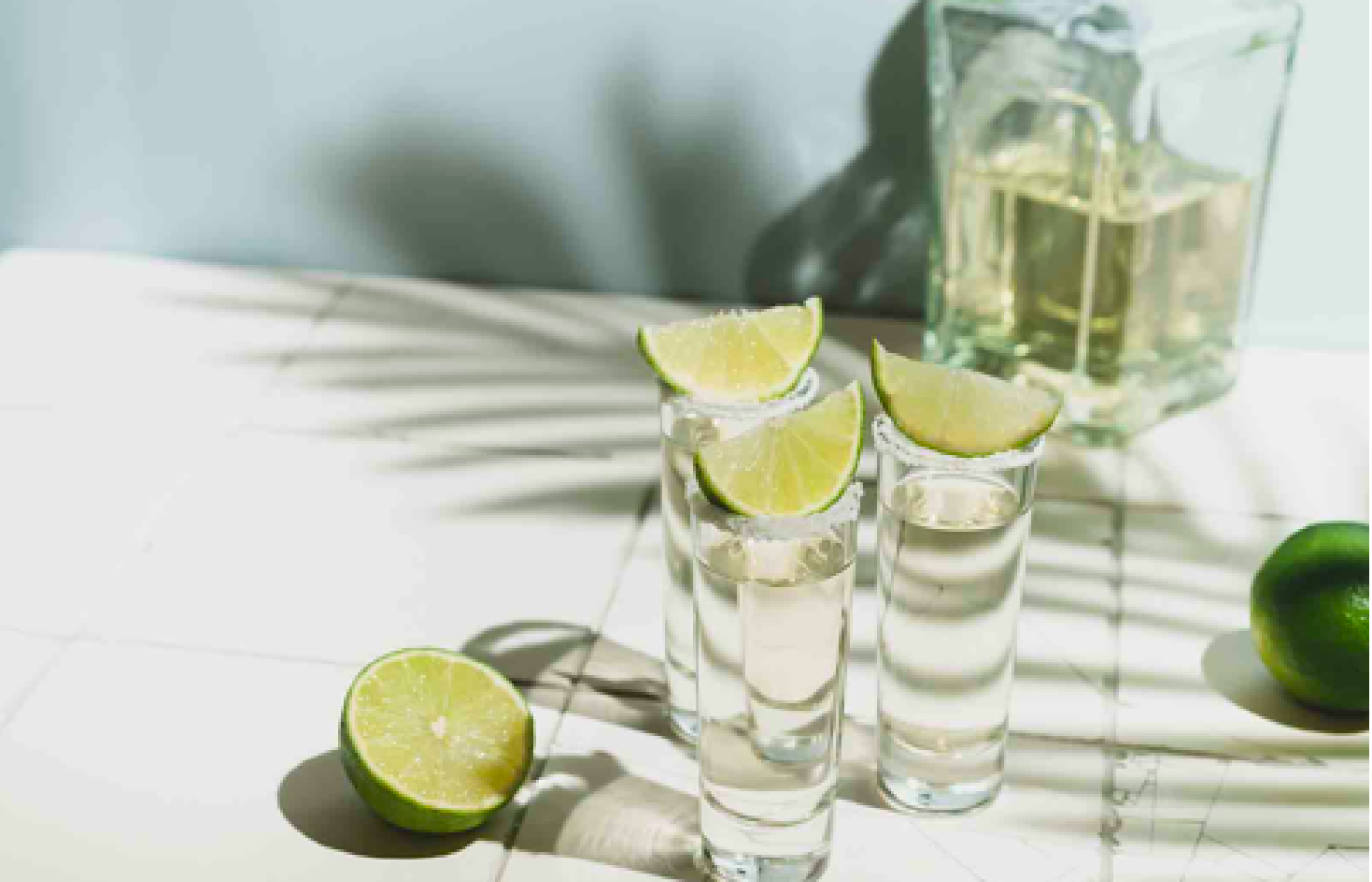 Profesionalización de la industria tequilera permitió su crecimiento