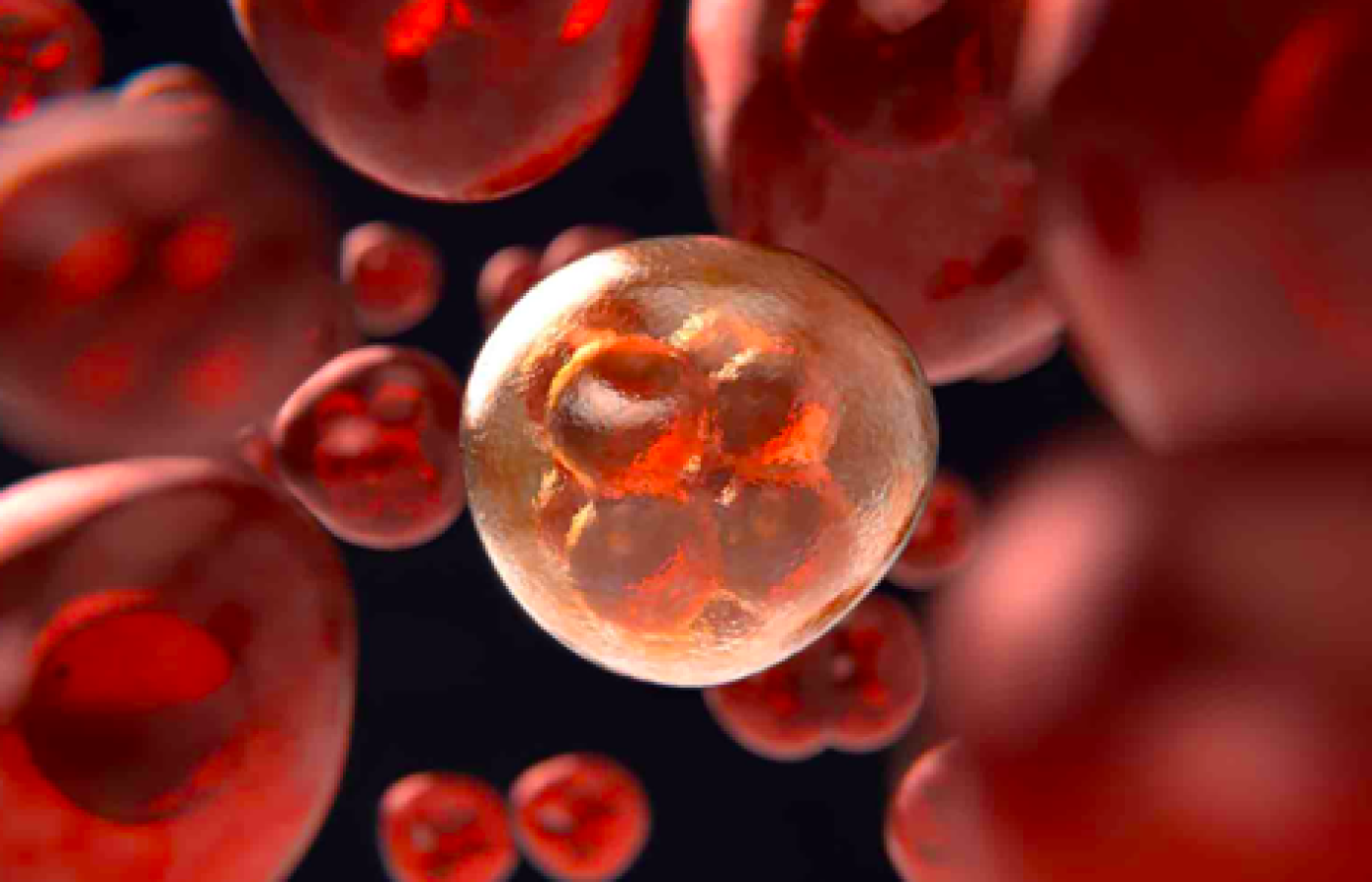 Desarrollan innovador tratamiento contra el cáncer cerebral