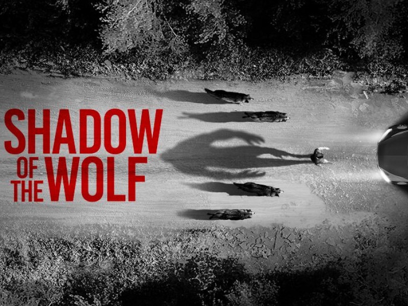 SHADOW OF THE WOLF