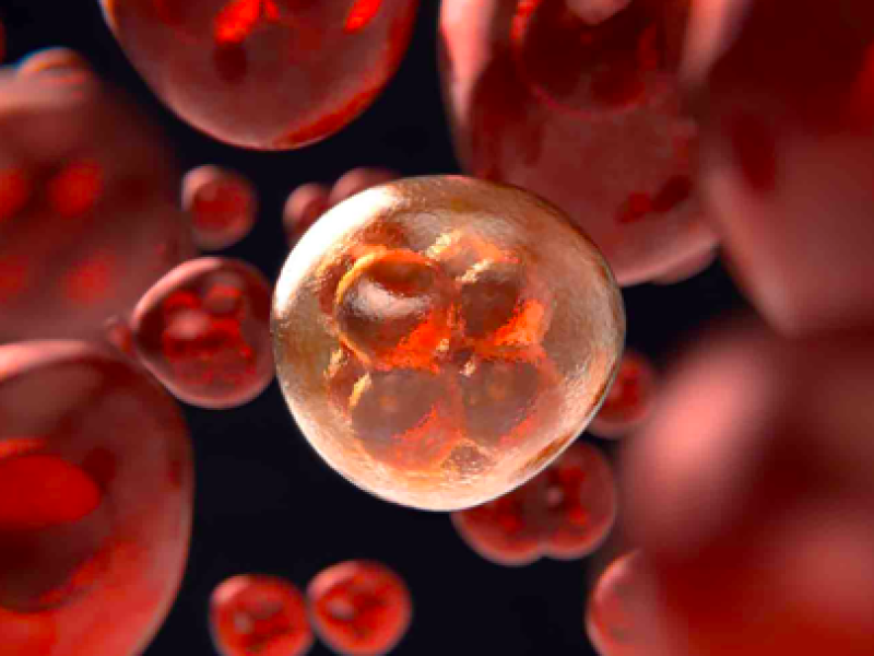Desarrollan innovador tratamiento contra el cáncer cerebral