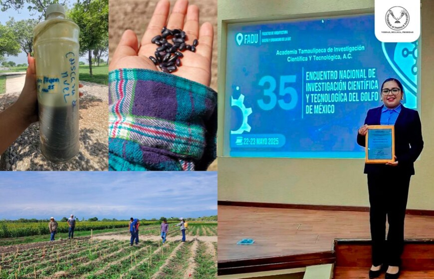 Elabora estudiante de la UAT bioherbicida para cultivos de frijol