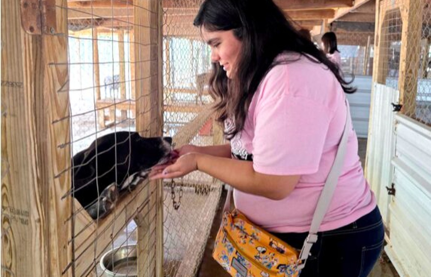 Students, faculty give back through animal rescue partnership