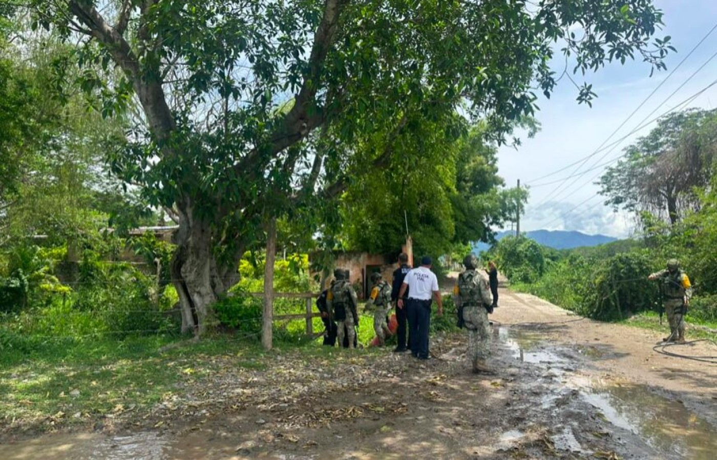¡Andan con todo! Localizan y retiran videocámaras no autorizadas en camino rural