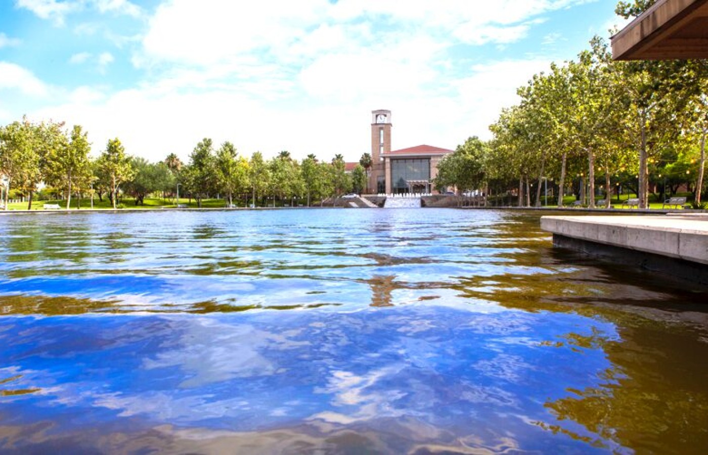 Eng-McAllen-best-2.jpg