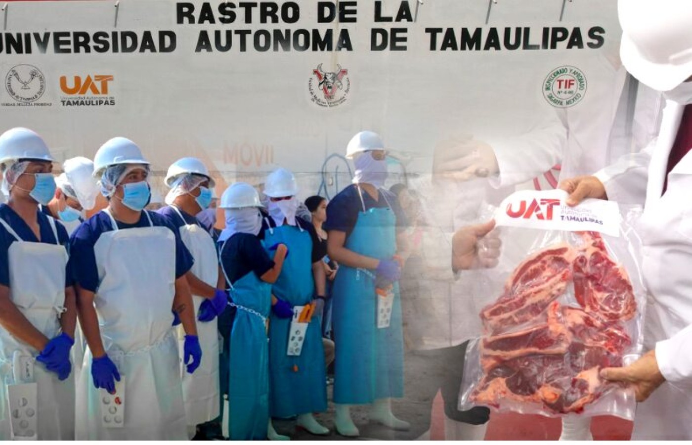 Rastro TIF de la UAT producirá carne para el mercado internacional