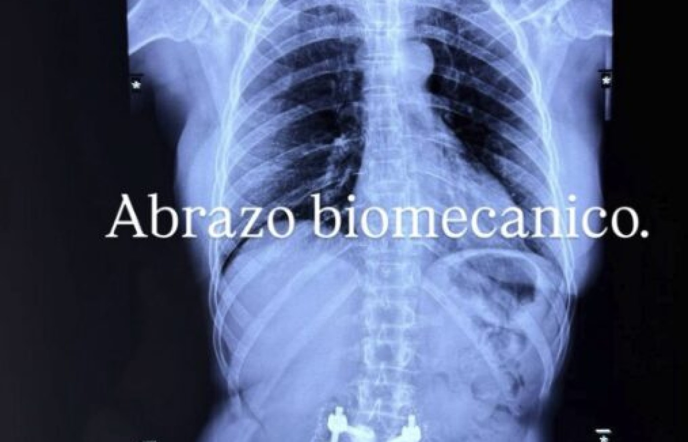 Captura-de-pantalla-2025-11-04-a-las-3.57.27-p.-m.jpg