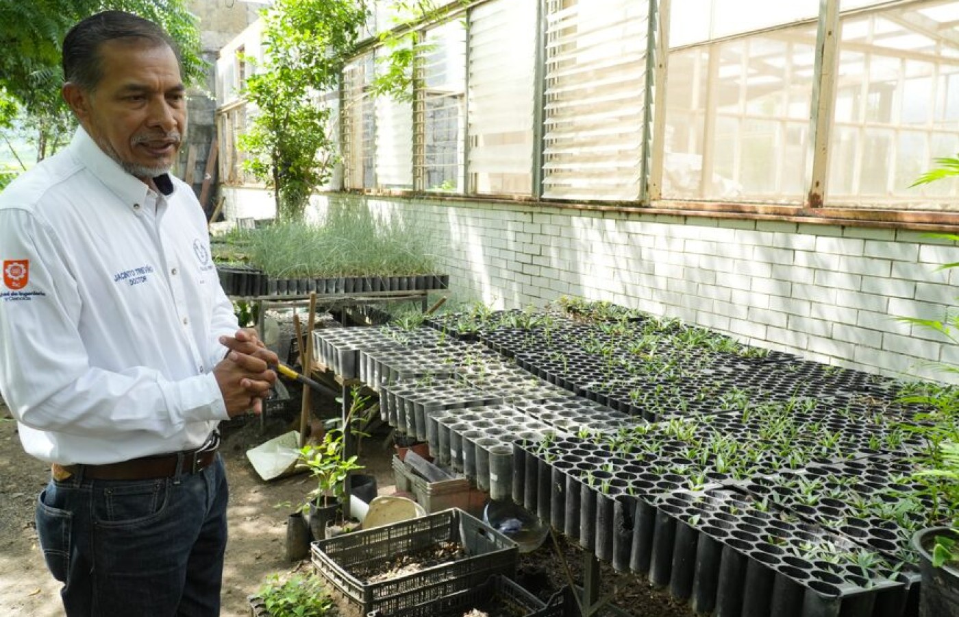 Implementa la UAT manejo sustentable del maguey mezcalero en Miquihuana