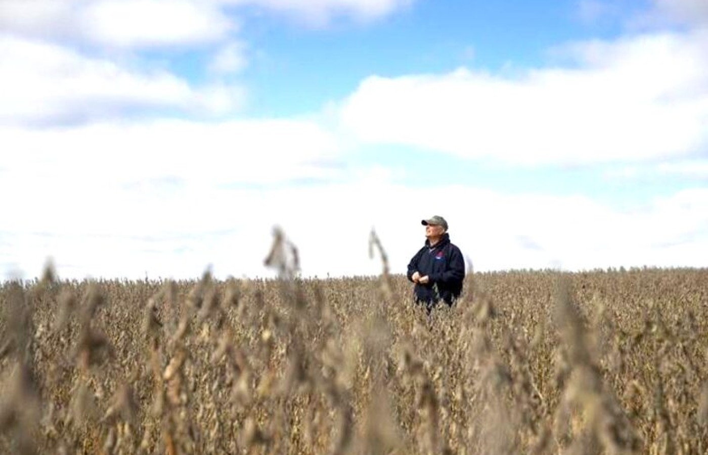 EE. UU. da a conocer paquete de ayuda para agricultores afectados por políticas arancelarias