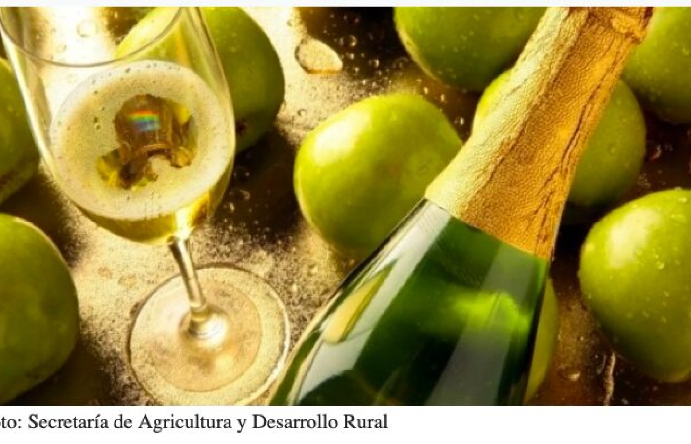 Puebla lidera producción de sidra con manzanas cultivadas dos años antes de su consumo