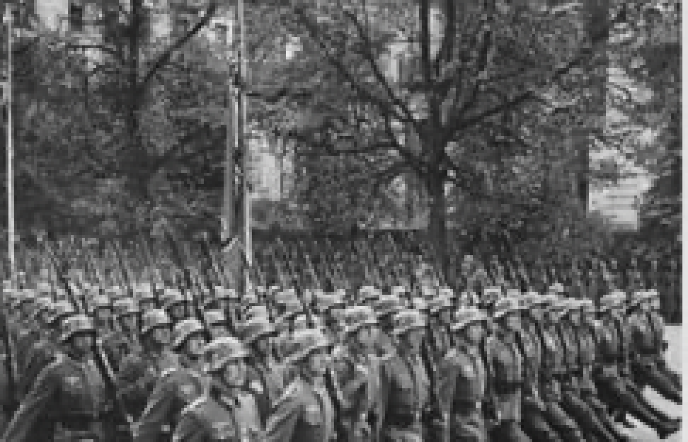 Captura-de-pantalla-2026-02-13-a-las-7.11.46-p.-m.png