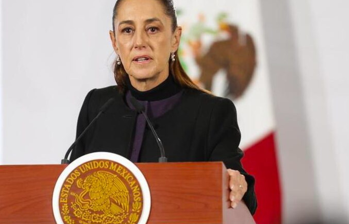 Presidenta de México desestima informe de ONU sobre desapariciones forzadas