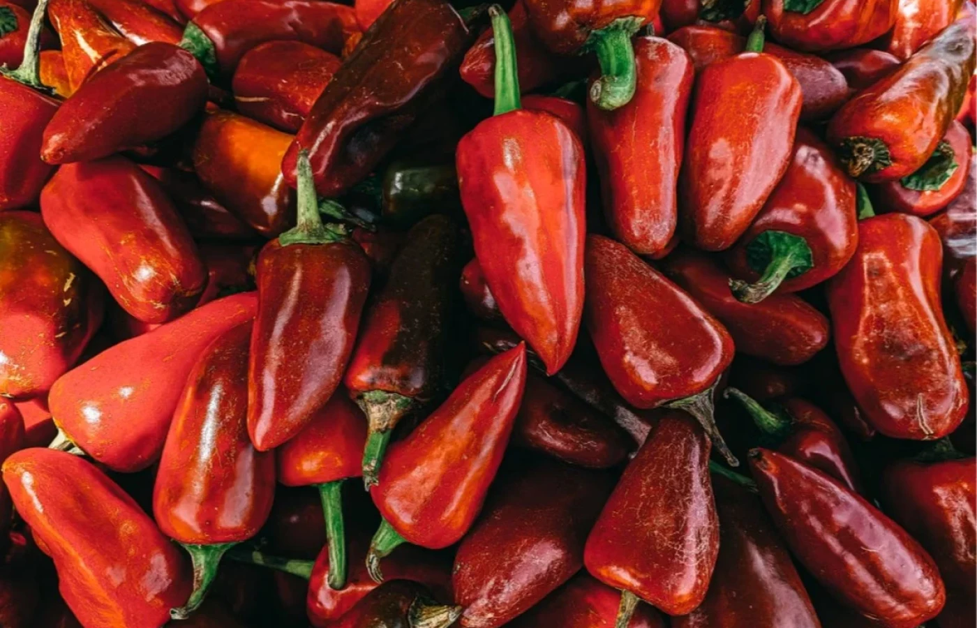 CDC advierten por brote de Salmonella asociado a jalapeños de Sinaloa