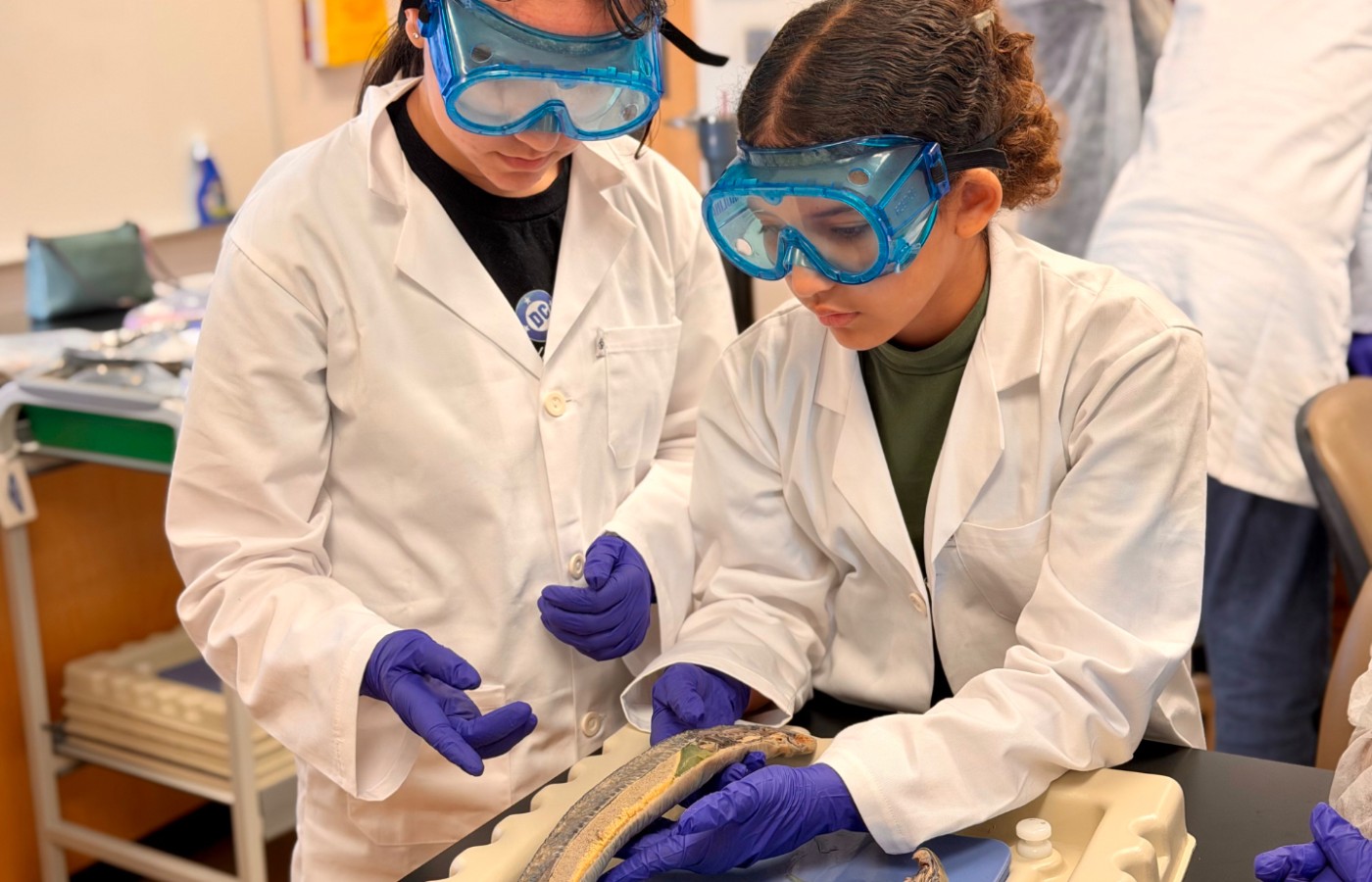 Futuros científicos exploran las maravillas de la biología en campamento de verano de STC