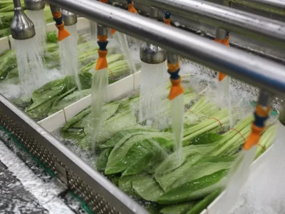Lechuga mexicana bajo alerta revela por qué lavar bien los vegetales puede no bastar