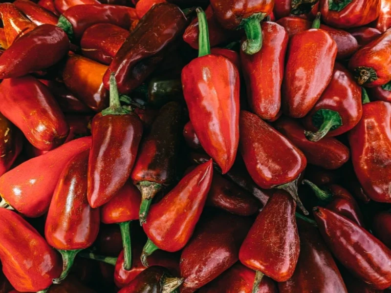 CDC advierten por brote de Salmonella asociado a jalapeños de Sinaloa