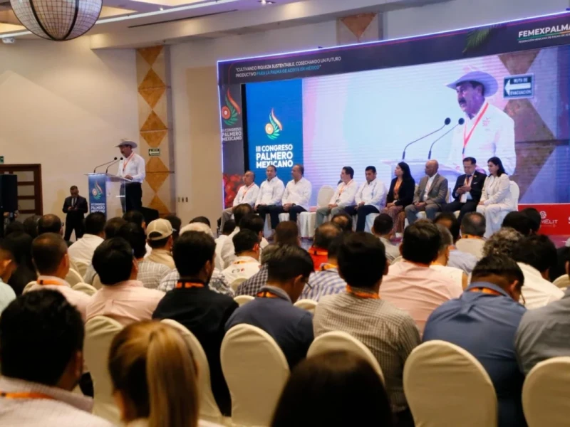 Aceite de palma en México: Chiapas convoca inversiones para la primera refinería