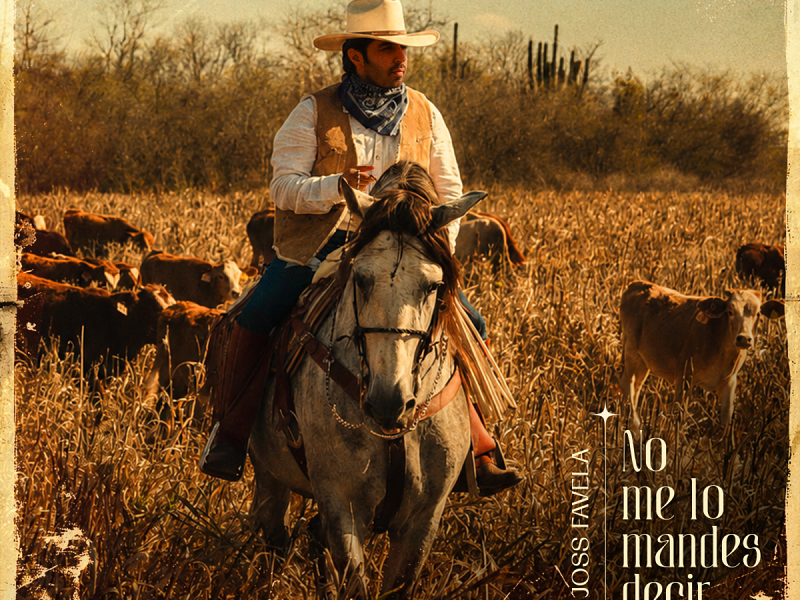 Joss Favela abre un nuevo capítulo con “No me lo mandes decir”