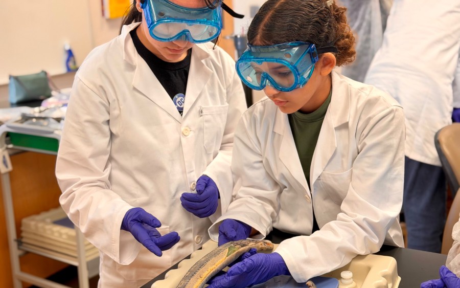 Futuros científicos exploran las maravillas de la biología en campamento de verano de STC