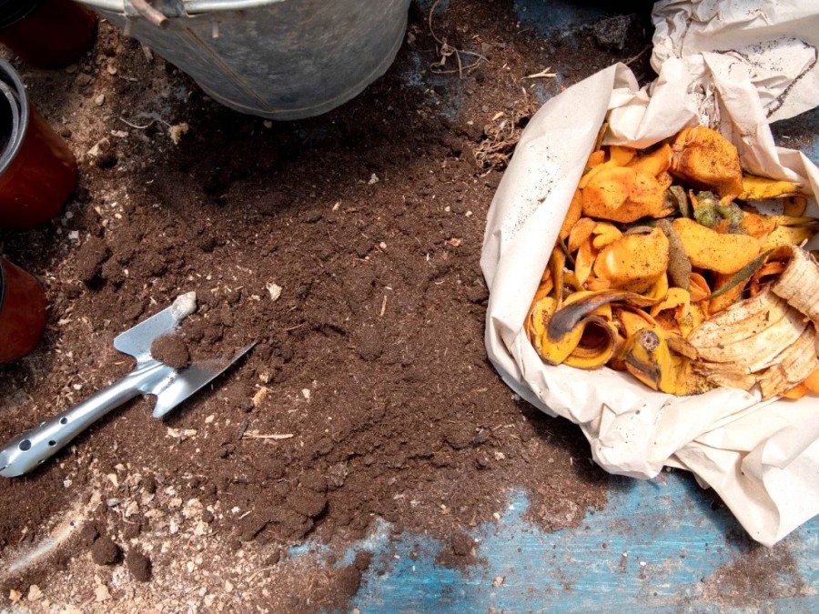 Un retraso en la entrega puede mandar 18 toneladas de alimentos a la basura
