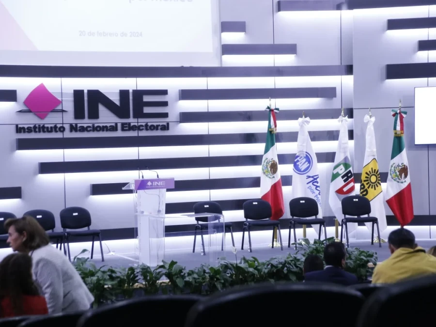 Guadalupe Taddei anuncia su renuncia al INE